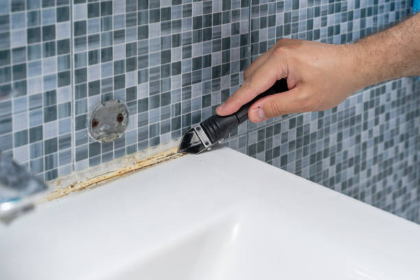 Best Mold Removal Specialists  in Oakwood, IL