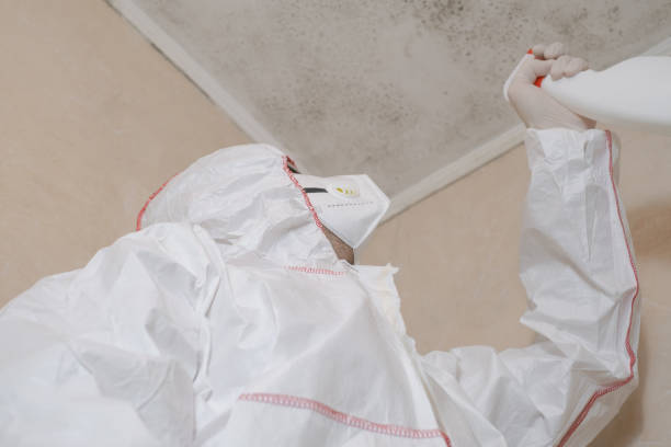 Best Water Damage Restoration  in Oakwood, IL